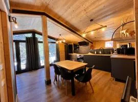 Chalet l'Epicéa T3 à 300m des pistes P2000