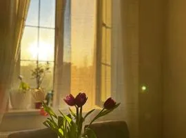 ELAY Apartments