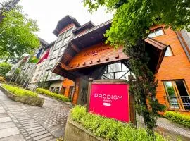Prodigy Gramado by Wish
