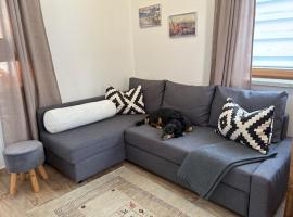 Cozy vacation apartment in Achensee, Tirol Austria，位于阿亨基希的酒店