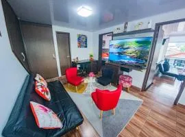 Lujoso Apartamento en Zona de Comercio