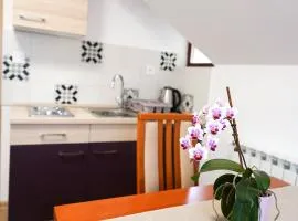 Studio Apartman Šafranko
