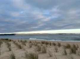 T1bis dans les dunes du Cap Ferret