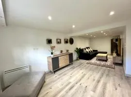 Beau T3 à 15 min de Lyon