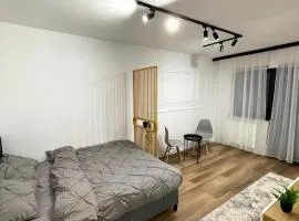Studio Fălticeni