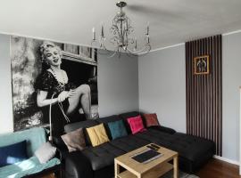 Współczesny Apartament Gdańsk，位于Borkowo的酒店
