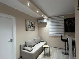 Georgeous lux apartment # 2