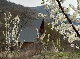 Samshvilde Hideaway，位于Daghetʼkhachʼini的酒店