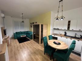 Apartmani BOŽIČKOVIĆ，位于帕利克的酒店