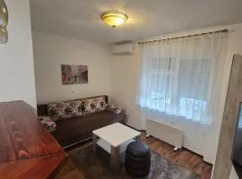 Apartman Sanus