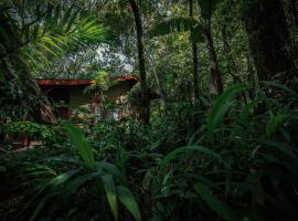 Jaguarundi Jungle Lodge - Monteverde，位于蒙泰韦尔德哥斯达黎加的酒店