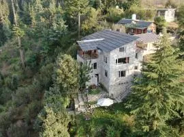 Tirthan Eagle nest