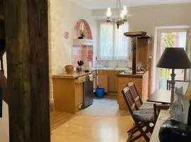 Appartement au cœur de Mirepoix