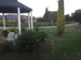 Villa Rose