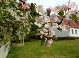 Agroturystyka Rębowo，位于Jastrzębiec的酒店