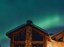Modern cozy mountain cabin in Idre