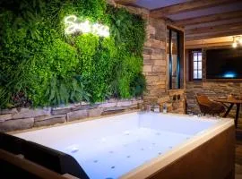 Suite & SPA 1566 Benfeld