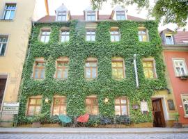 Zum Alten Krug，位于萨勒河畔瑙姆堡的酒店