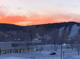 Logement voyageurs ou travailleur 503