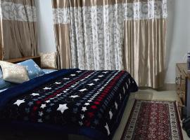 Myodi-Yasi Homestay Rake Ziro 5 mnts walk from Airport，位于Ziro的酒店