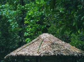 Aruvi Homestay idukki