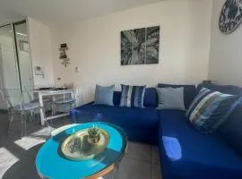 Blue Courvoisy Piscine Groupama stadium LDLC arena Eurexpo