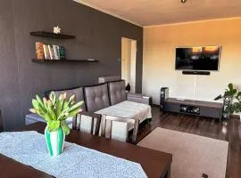 Wałcz Homely Apartment