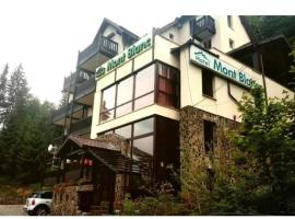 Mont Blanc，位于普雷代亚尔的低价酒店