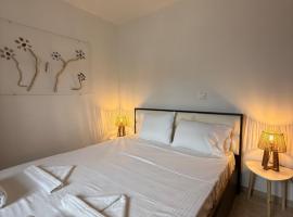 Meltemi Beach Apartment，位于莫什劳斯的酒店