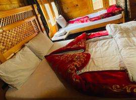 Fairy meadows BroadView Hotel，位于Tato的酒店