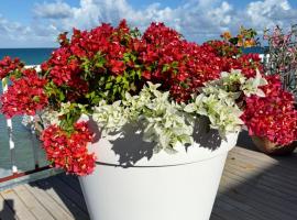 Ocean Garden Studio I