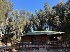 Cabaña Bosque Los Duendes，位于普琼卡维的酒店