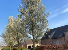 Hoeve Sterrewijk