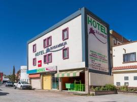 OYO Hotel Bugambilia, San Luis Potosí，位于圣路易斯波托西的酒店