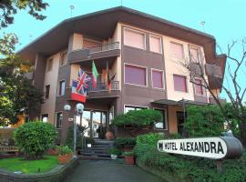 Hotel Alexandra，位于芬奇的酒店