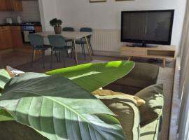 Eco House Brighton & Hove，位于布莱顿霍夫的酒店