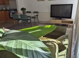 Eco House Brighton & Hove