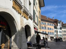 Zunfthaus zu Wirthen，位于索洛图恩的酒店