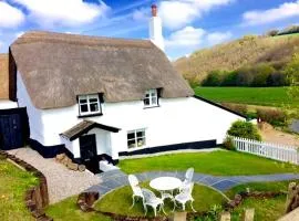 Cosy and unique Thatched Cottage on Dartmoor