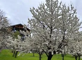 韦尔热普莱因马戏团住宿加早餐旅馆