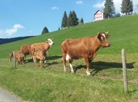 Sunmattehof