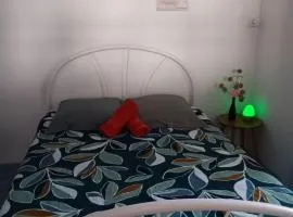 La caza paul