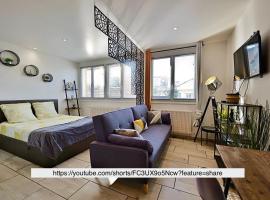 Saint-Étienne Bellevue Confort 2，位于Saint Etienne的酒店