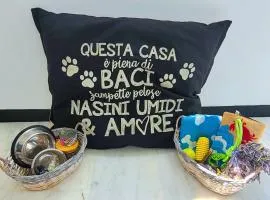 Linda's pet friendly beach house