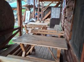 Viking hostel，位于尼什的酒店