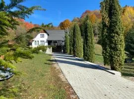 Cabana Runcul Cailor