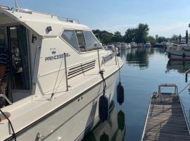 The River Thames - Surrey Boat，位于Thorpe的船屋