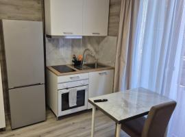 Viktor Studioapartment，位于林茨的酒店