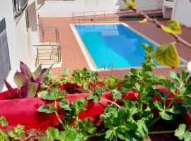 Safari Stay Appart front mer avec piscine