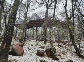 Caba&ntilde;a Boreal, Punta del Bosque，位于瓦斯卡坎波的乡村别墅